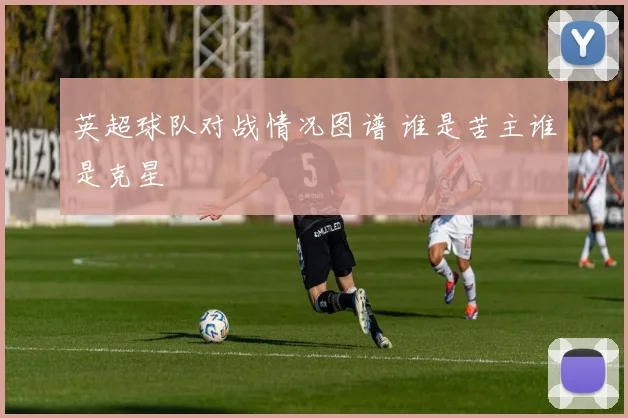英超球队对战情况图谱 谁是苦主谁是克星