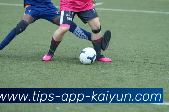 开云app平台生态图