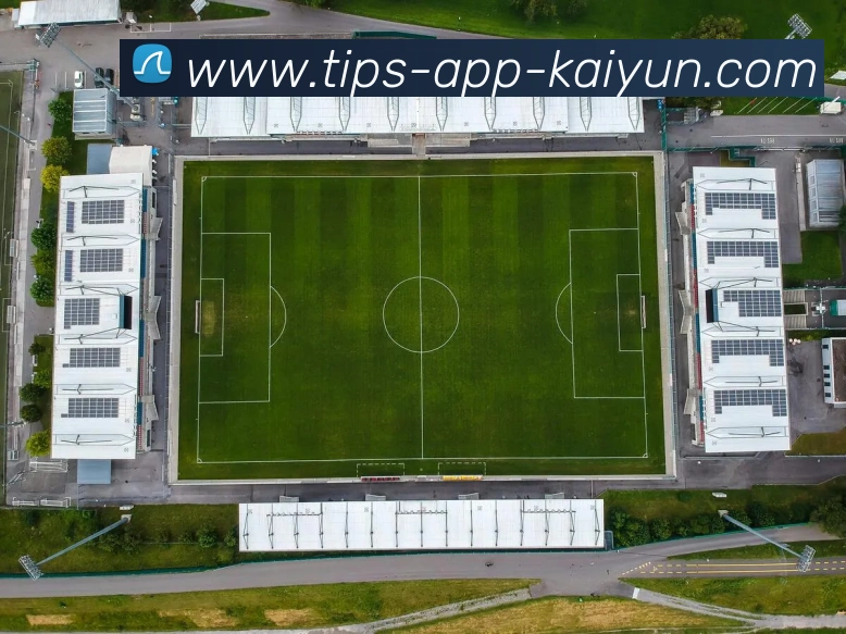 App Interface Preview